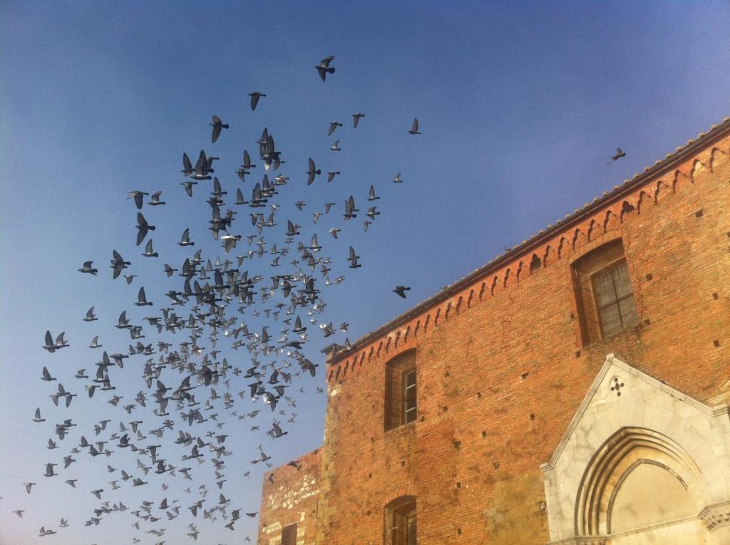 La Locanda Di San Francesco Montepulciano Stazione Δωμάτιο φωτογραφία